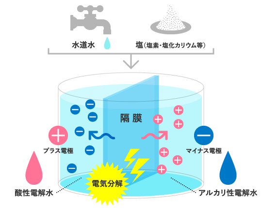 隔膜を介して食塩水を電気分解すると、陽極（＋）側に酸性電解水が、陰極（−）側にアルカリ性電解水が生成されます。